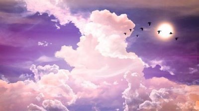 ​纵横造句13句