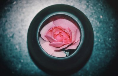 ​感谢父母养育之恩的话 感谢爸妈辛苦的句子
