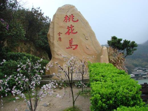 关于月季花