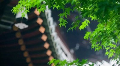 ​形容人可怜又可恶的唯美句子 “可怜之人，必有可恨之处”