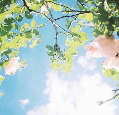春暖花开