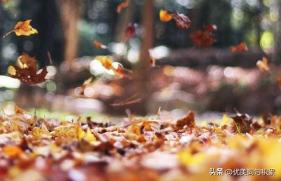 ​秋的句子短句唯美摘抄（秋 名著描写摘抄）