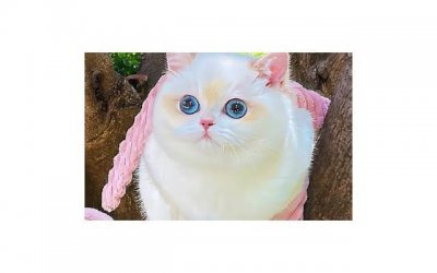 ​怎样用朋友圈搭讪？教你几招打理朋友圈技巧轻松搭讪！