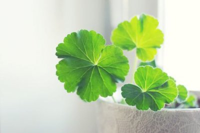​倾注的造句47句