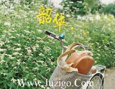 ​往往的造句100句