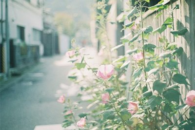 ​必须造句92句