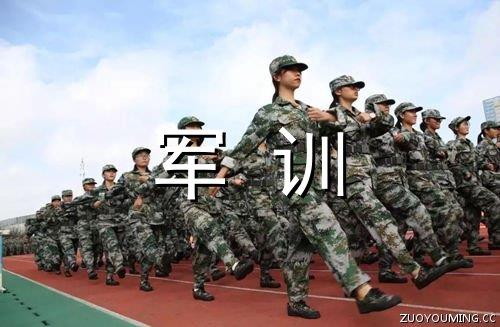 含有哲理的诗句子