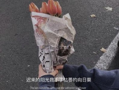 ​描写小燕子的诗句三年级(27句)