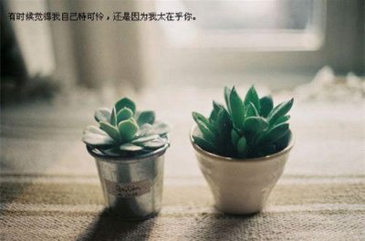 ​描写乡村景色的诗句41句