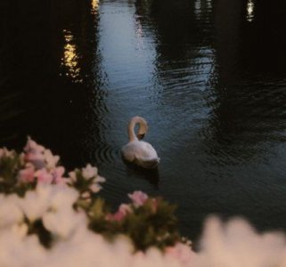 ​2025七夕朋友圈说说文案(精选84句)