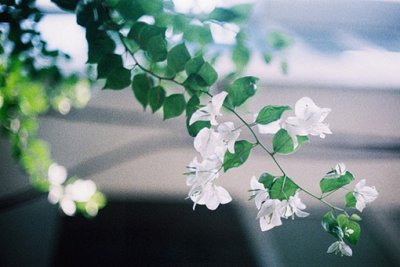 ​00后流行语句100句