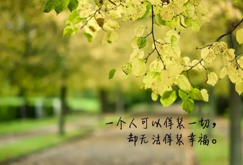 1686513251124206.png image.png