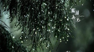 ​2026个性签名励志 晚上加班的励志说说