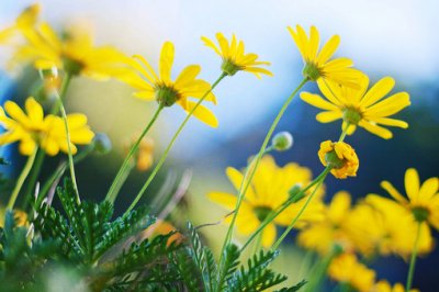 ​2026年喝酒难过的朋友圈说说喝酒的朋友圈说说(精选70句)