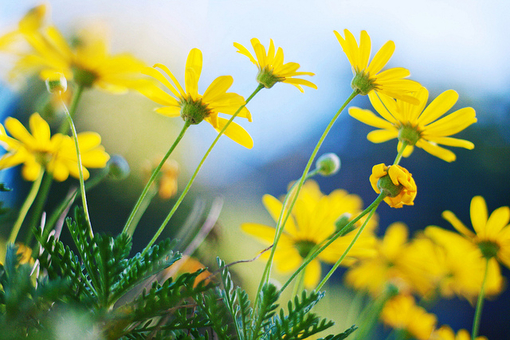 2023年喝酒难过的朋友圈说说 喝酒的朋友圈说说(精选70句)