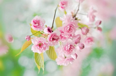 ​2026年激励女人护肤的朋友圈说说(52句)