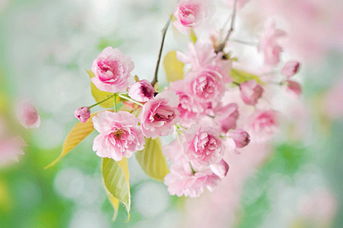 2023年激励女人护肤的朋友圈说说(52句)