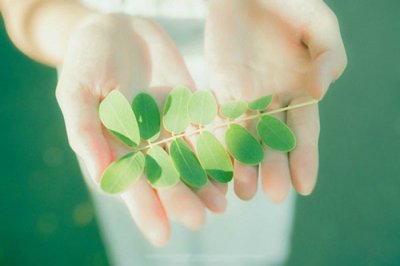 ​2026抖音最火晒娃的句子(58句)