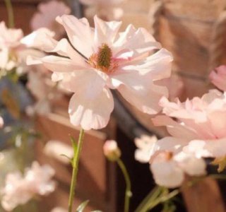 ​最美伤感说说句子爱情(精选80句)