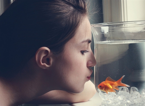 是时候结束了的说说(必备40句) 是时候结束了的说说(必备40句)