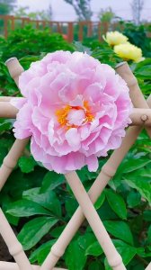 ​江南的文案简短 温柔里的江南，烟雨里的纸伞