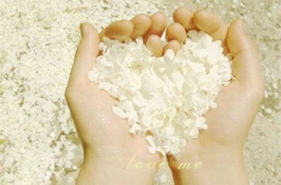 ​悲伤句子说说心情82句