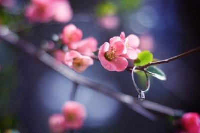 ​旅游感悟唯美句子