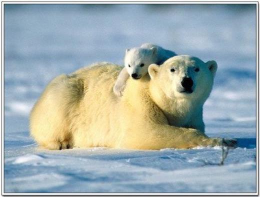 群主对群友的祝福语