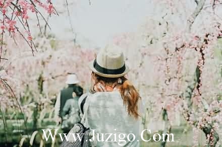 春节朋友祝福语简短优美(精选55句)