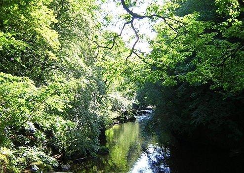 关于出国祝福温馨优美句子