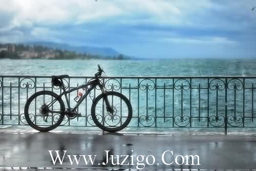 真挚情感唯美句子情感祝福唯美句子(精选34句)