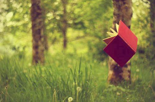 给小学毕业生的寄语