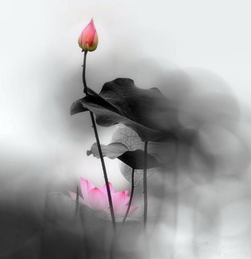 情侣说说秀恩爱短句