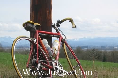 河边玩耍的朋友圈文案(享受河边漫步的浪漫语句)