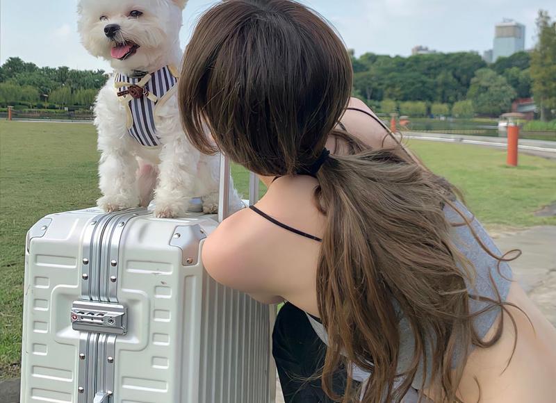 7句撩妹子的情话套路,对老婆说的情话 7句撩妹子的情话套路,对老婆说的情话