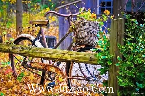 早安打工人打工人有趣的早安问候文案