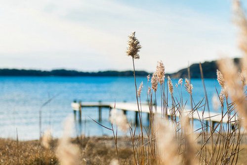 适合大学毕业发朋友圈的文案(精选42句)