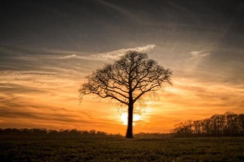 关于亲情的句子经典语录