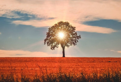 ​释放心情的句子