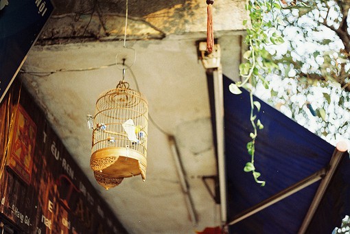 表达相思之苦的句子103句