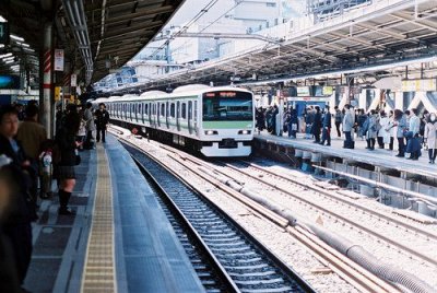 ​动作的词的句子84句