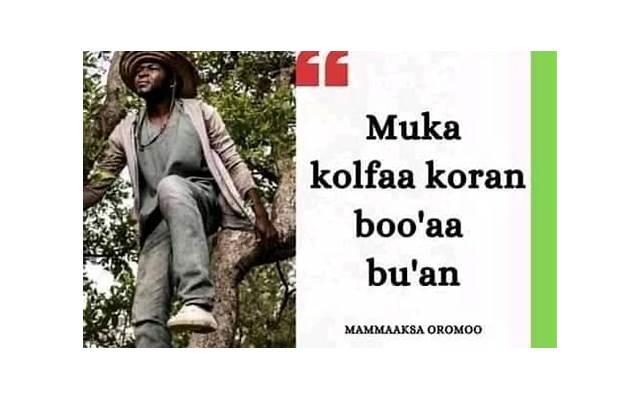  初秋晚霞简短走心的句子精拣130条