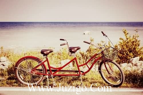 形容下雪的句子68句