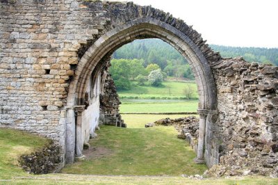 ​描写树秋天的句子82句