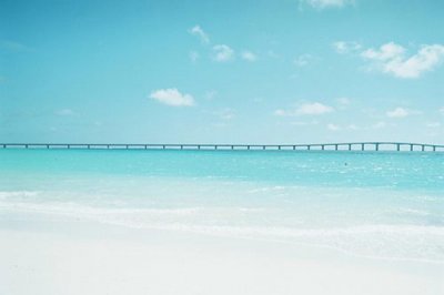 ​关于描写父亲的句子86句