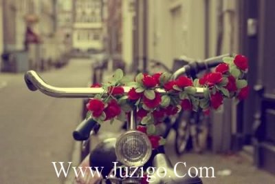 ​雪优美句子85句