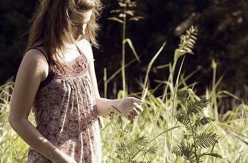 描写桃花优美句子