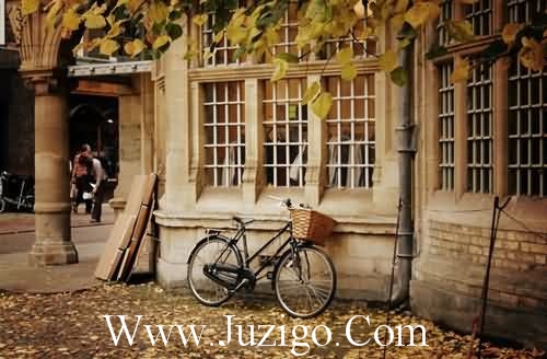 描写同学友情的段落101句