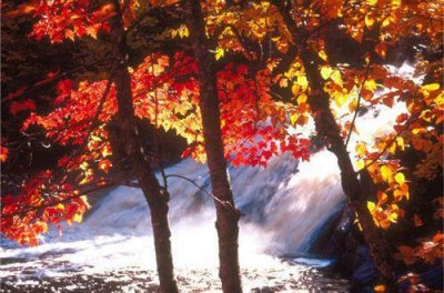 ​写景优美句子摘录