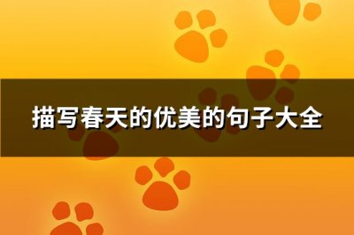 ​描写春天的优美的句子大全(汇总98句)